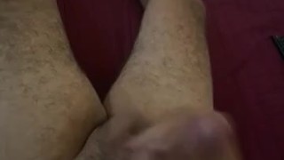 pollaTimidaAlNatural