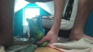 Teen male riding Dragon cocks