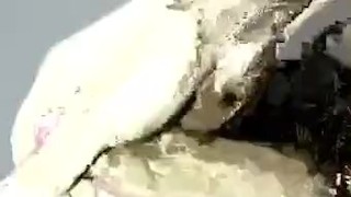 Strange yerking video!