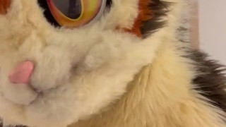 Deep Inside My Wife - Doggy Style Front POV - Maho & Xytan