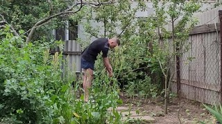 Garden chores