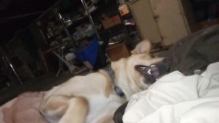Late, high night