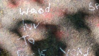 Soundview park used condom hideout come find me