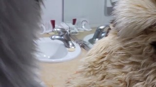 This Big Kitty Fucks His Wife Before Shower - Maho & Xytan