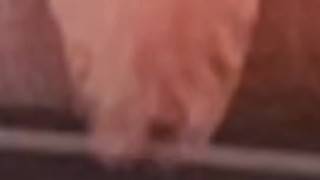 Stripped Underwear with Closeup Uncut Dick