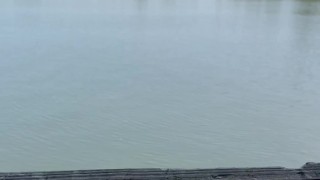 Quick public blowjob on a pier real amateur video