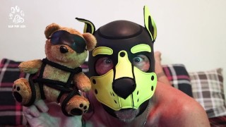 Pup get's a New Bear!