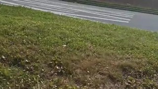 Buck jacking, hoping to get caught