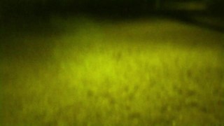 My husband took me for a walk in the park with a leash around my neck. Then he wanted me to suck