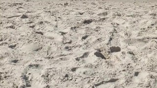 Dirty greetings from the Baltic sea in Poland