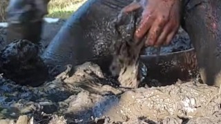 Like a pig in the mud