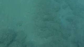 Blue water, black swimsuit, beautiful legs