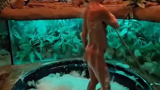 Wlelcome to my Ocean room in the night club Lady Marion