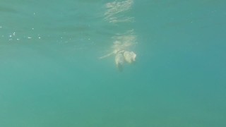 Aquatica's feet melted in the blue sea