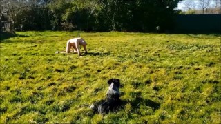VOST engl - Training barre d'écartement 1.