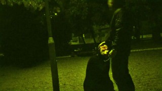 He put a dog leash around my neck and I had to suck his cock in a public park while cars pas