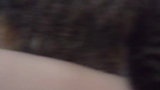 Pussy Cat Cuddling With Sexy Legs and Feet