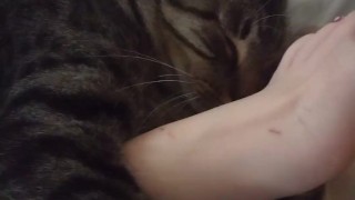 Cute Kitten Cuddling With Pretty Feet