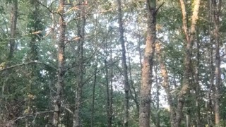 self bondage in the wood