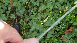 I had a mini pee in the park