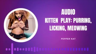 Kitten Play Audio: Purring, Meowing, Licking