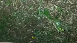 En el patio de mi casa metiéndome el dedo y ORINÁNDOTE la boca antes de que me pillen