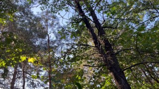 My girlfriend licked my pussy in the park while her boyfriend was setting up the tent