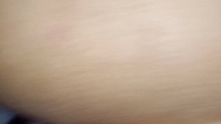 Polla jugosa en concha rica