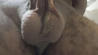 Paja sexy