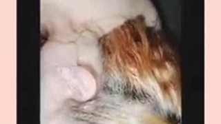 Slutwife fucks Stranger