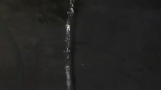 Pissing in circles in my backyard