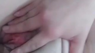 Mi Gallito limpio para lengua