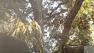 Trials and tribulations