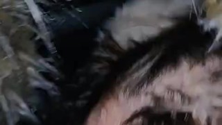 Unicorn Slut Public blowjob in a doorway - some of our sessions on the way back after a night out