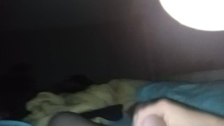 When the sneaky link wants to get pregnant