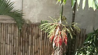 Sex after shower makes it hard to handle this dick and girl's orgasm comes too fast + cumsot