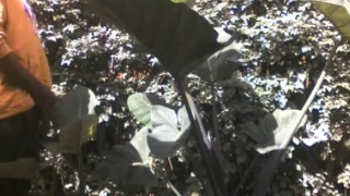 PISSING IN PIBLIC....ALMOST CAUGHT