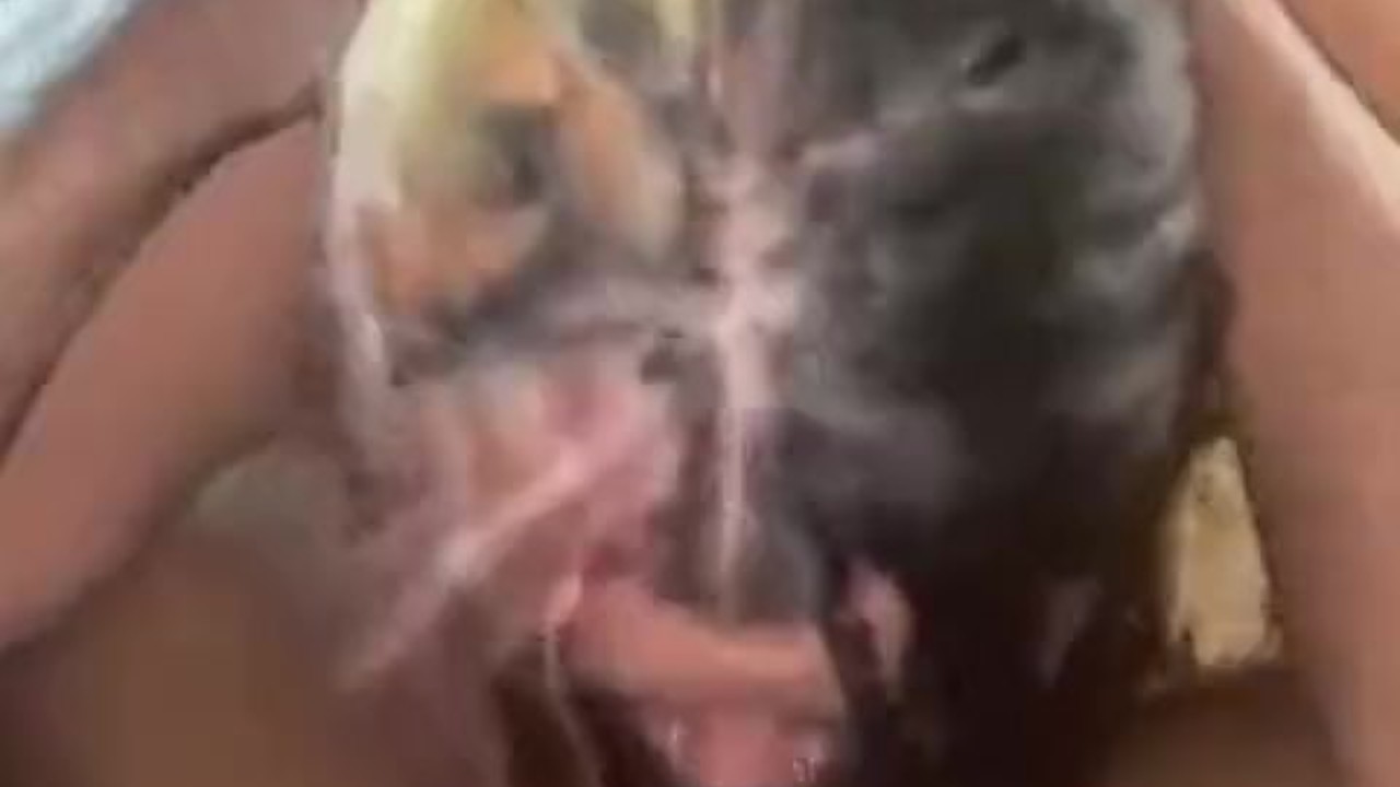 Preview 7 of Lil Asian Gives Me Head Paradise