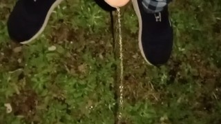 Naughty Pissing