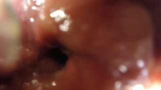 POV - Watch me play with a meerkat toy from the inside