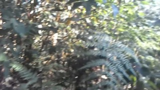 LOUD MOANING AND DIRTY TALK BBC IN THE FOREST