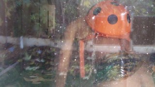 A treat for loyal dogs ONLY