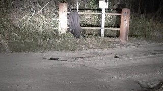 Public strip, rip & piss play at recycling plant