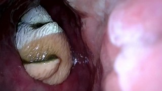 Meerkat toy getting rolled in my slimy guts