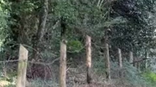 Je marche cul nu, sur un chemin