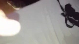 gata en celo tomando leche