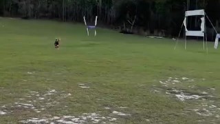 Hand Launch and Land with Racing Drone 🤯🤯🚀🚀