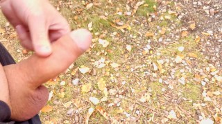 Huge cum in city central park, I could be caught any single moment