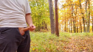 Nice cock cumming in forest in fine rain