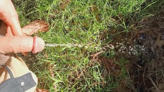 Just a golden shower on some grass.